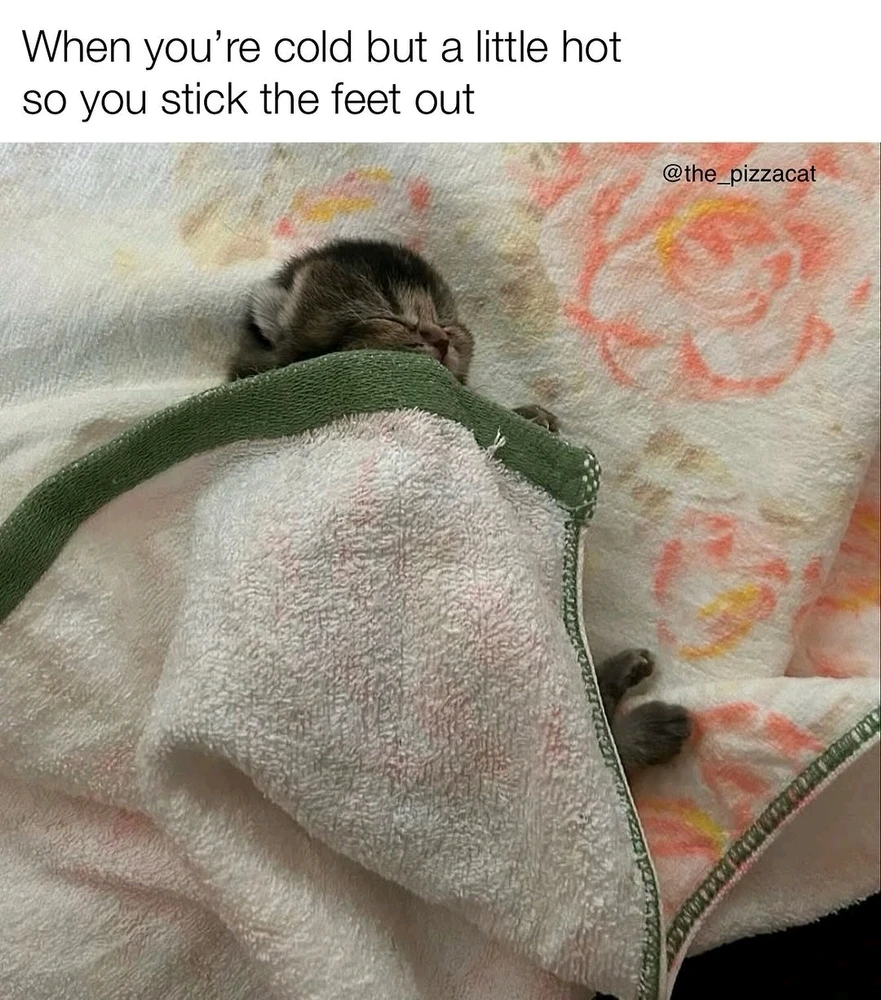 Image uploaded by Suman