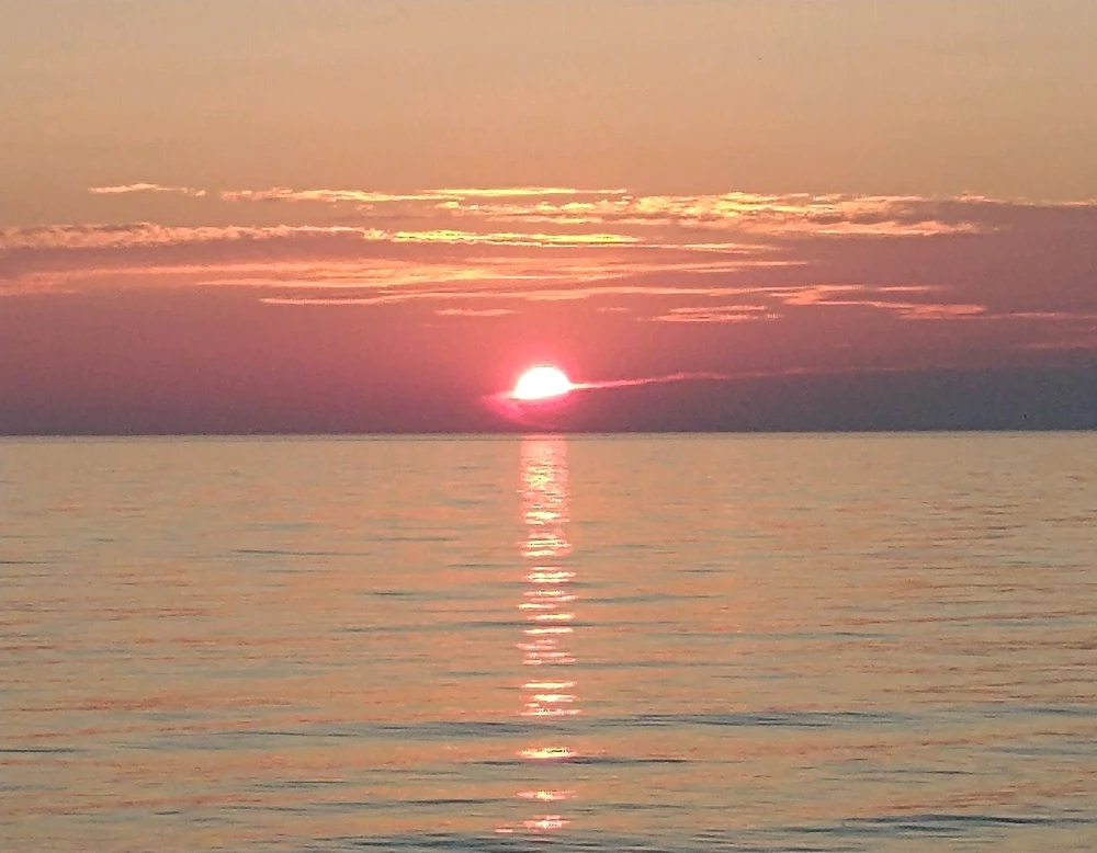Image uploaded by Bex