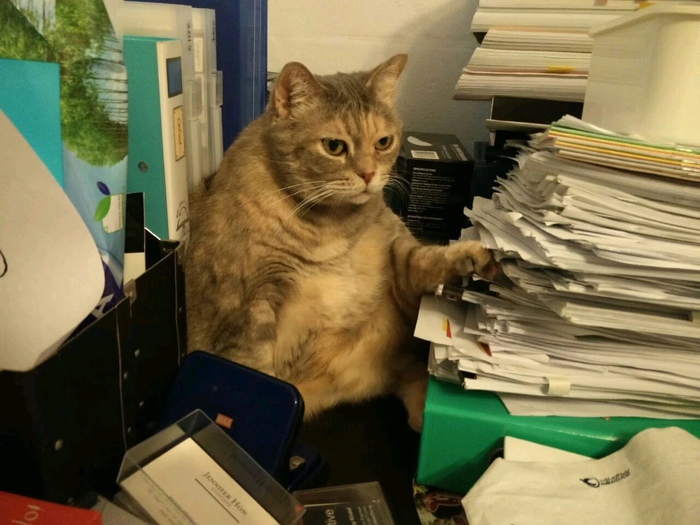 GIF uploaded by 🇰🇷Mantas🇰🇷