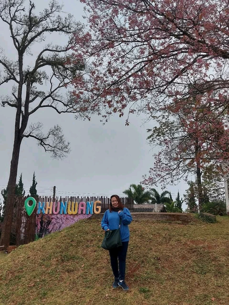 Gi-upload ni PP ang hulagway