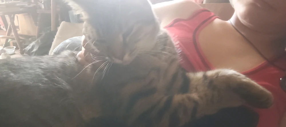 GIF uploaded by Nirene