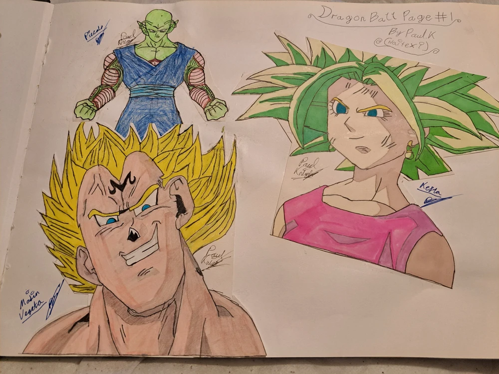 Bottom left - Majin Vegeta
Top Left - Piccolo
Right - Kefla