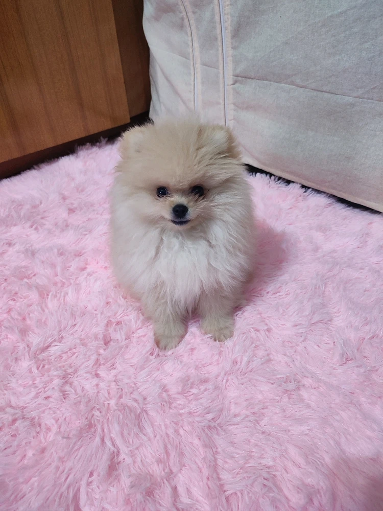 Image uploaded by Sofija
