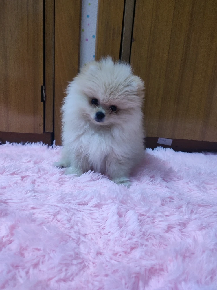 Image uploaded by Sofija
