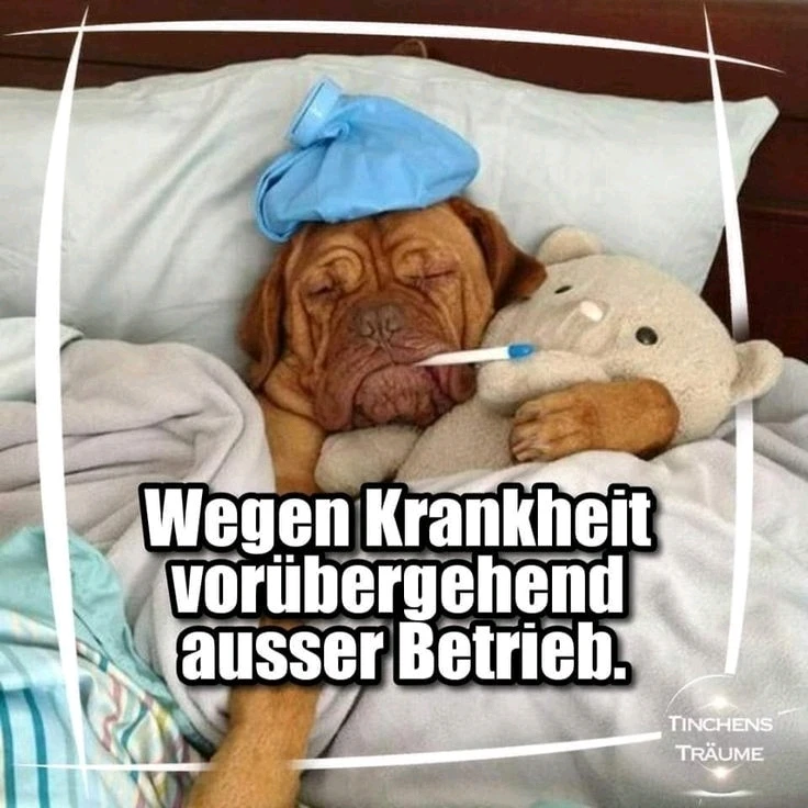 GIF hochgeladen von Kitty