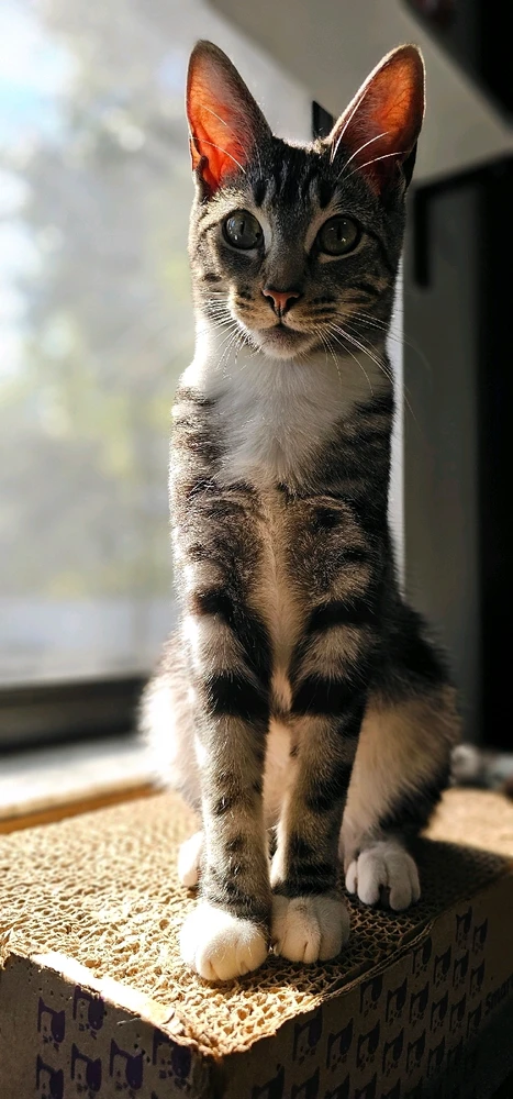 GIF diunggah dening Tiffany