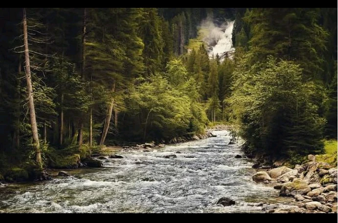 GIF uploaded by Anita