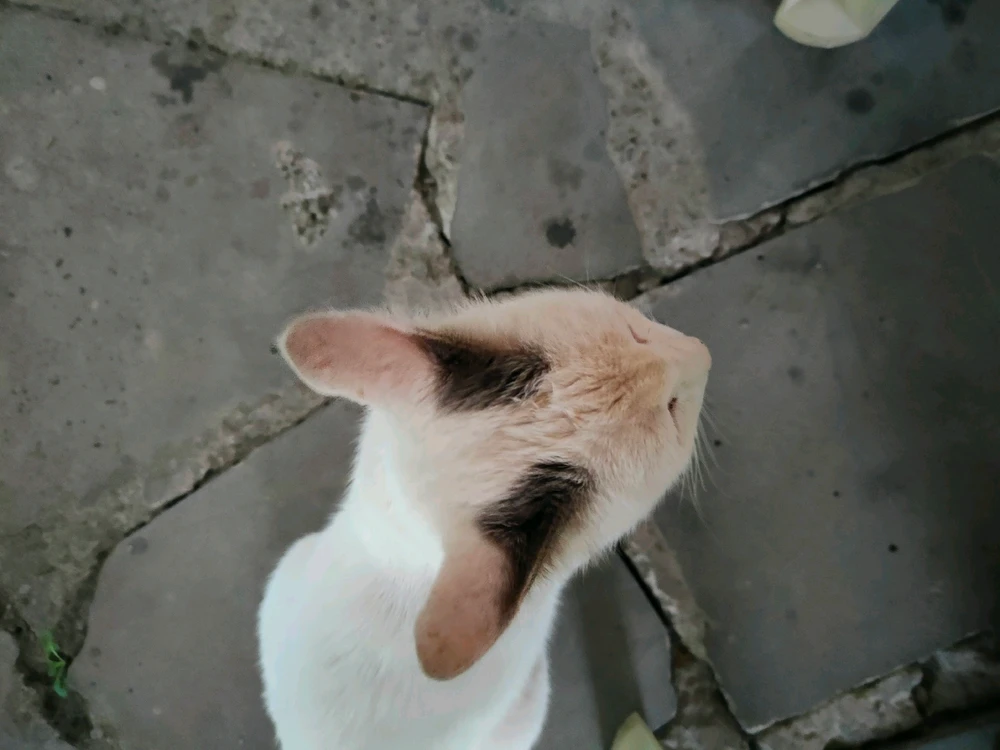 Aram վերբեռնած նկար