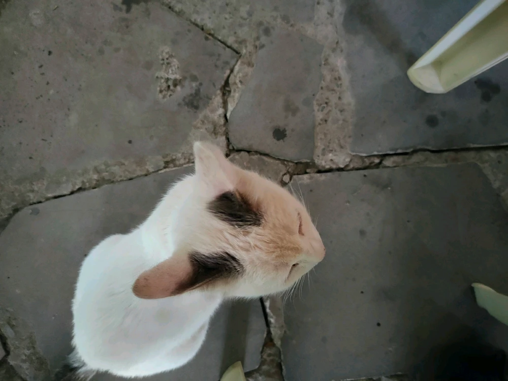 Aram վերբեռնած նկար