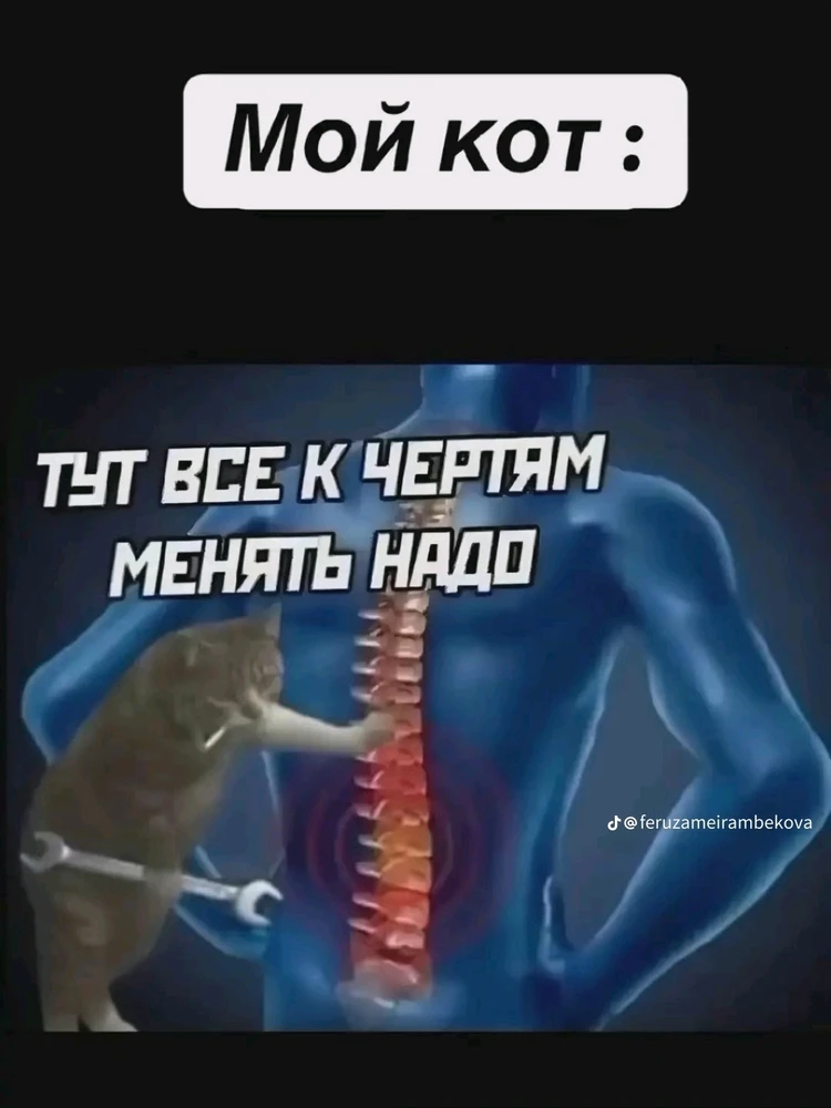 Nuotrauką įkėlė K