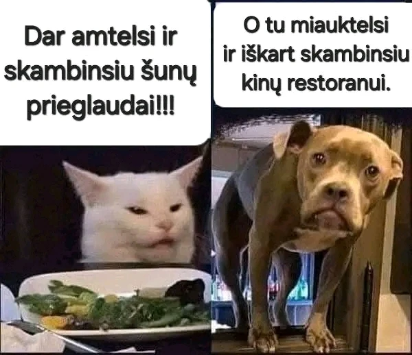 Nuotrauką įkėlė K