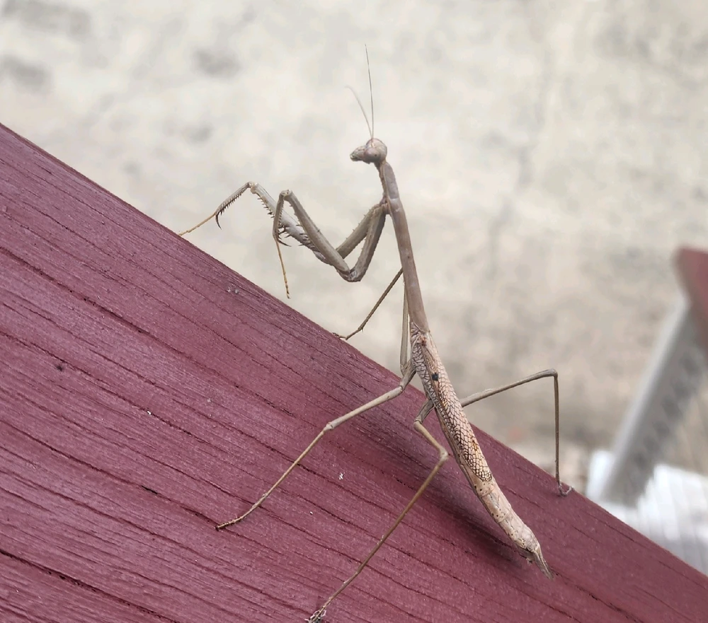 Image uploaded by ♡ Câz ♡