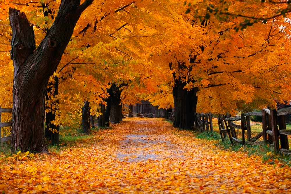 Image uploaded by Aelynne