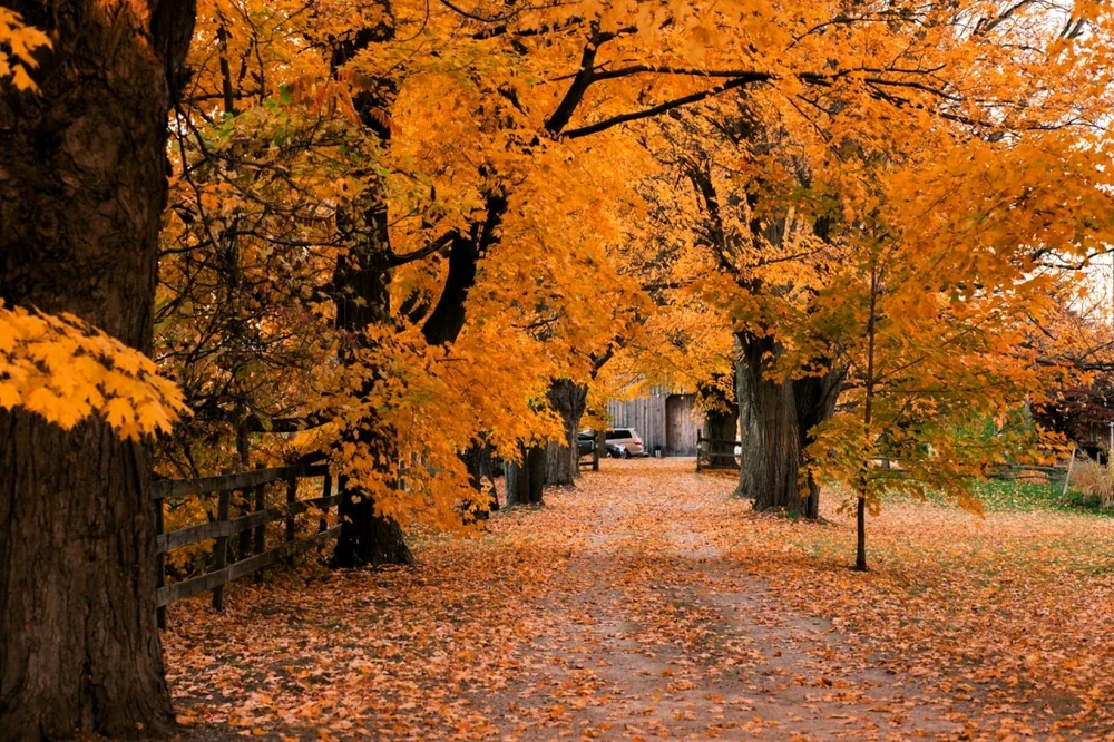 Image uploaded by Aelynne