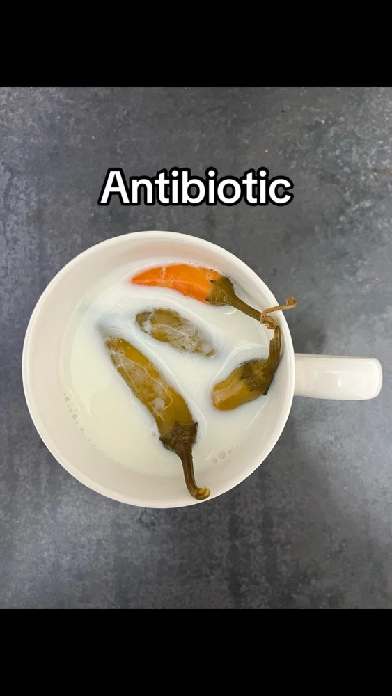 GIF încărcat de George