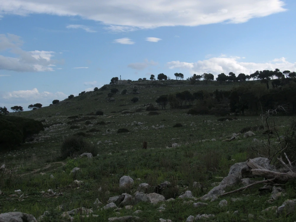 Immagine caricata da Shinrin