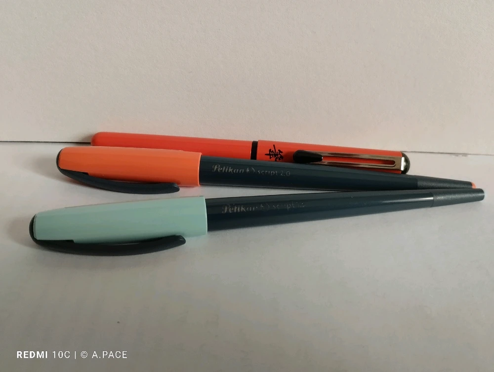 Immagine caricata da Alessandro | alpacigno