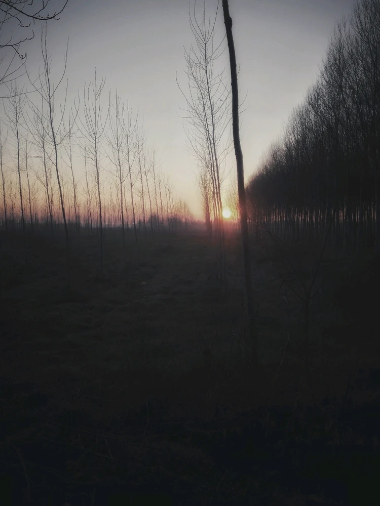 GIF caricata da Mario