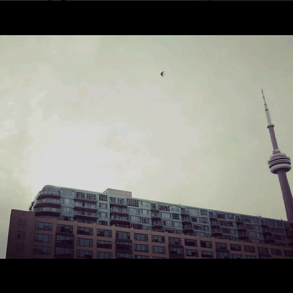 GIF uploaded by Anita