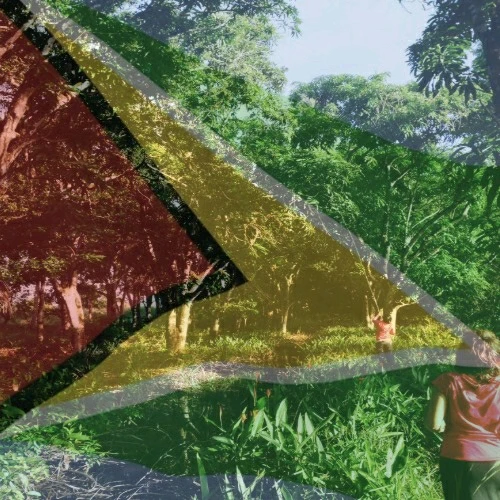 GIF uploaded by Anita