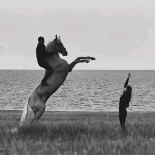 GIF آپلود شده توسط Mreza