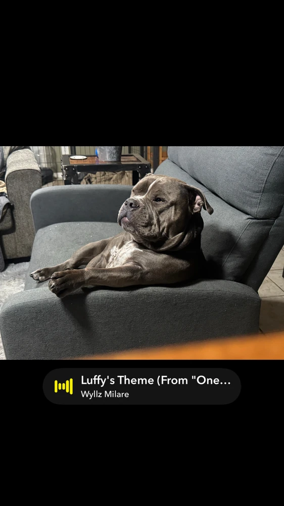 GIF uploaded by Robert Dallas (Trey)