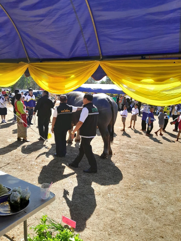 GIF อัปโหลดโดย หัวโต