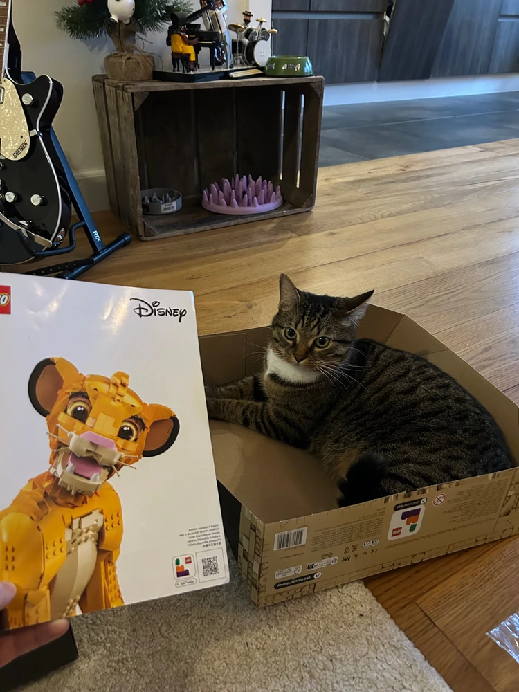 GIF uploaded by Nick