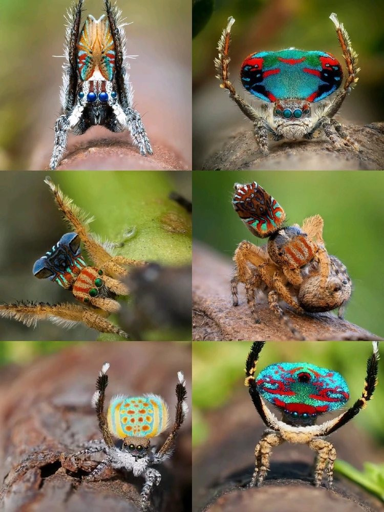 GIF caricata da Cinzia