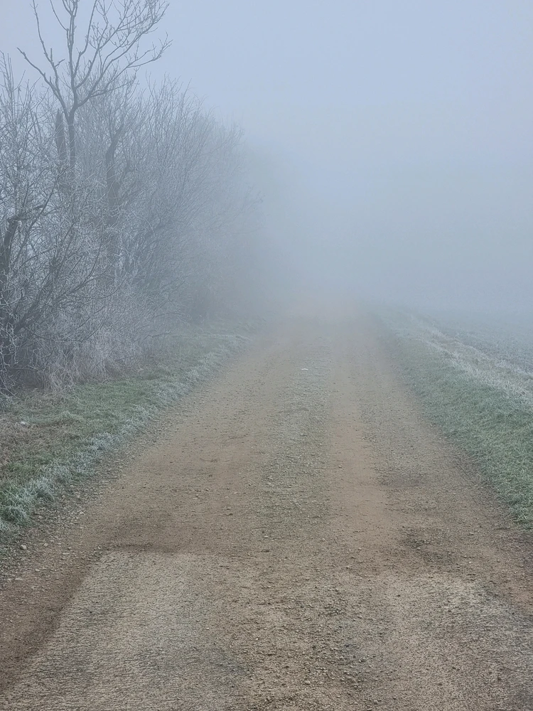 GIF hochgeladen von Vincent