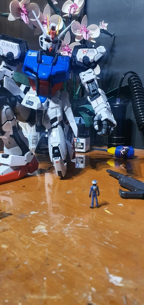 Fezu által feltöltött kép