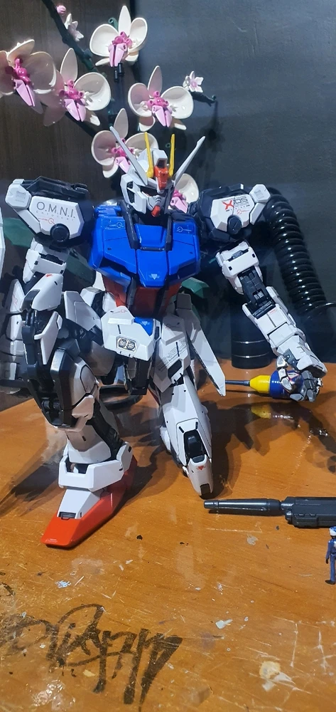 Fezu által feltöltött kép