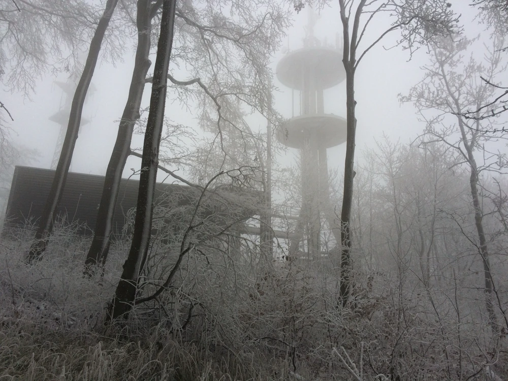 GIF hochgeladen von Nikita