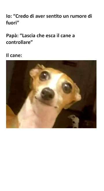 GIF caricata da Luca