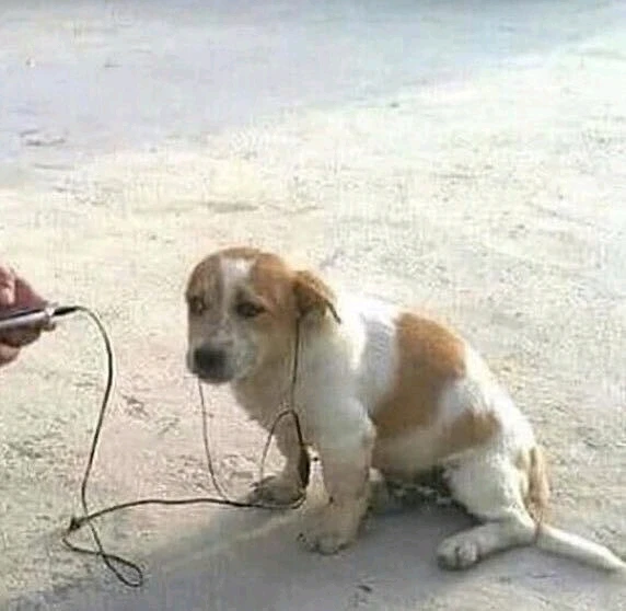 Dwincesther tarafından yüklenen GIF