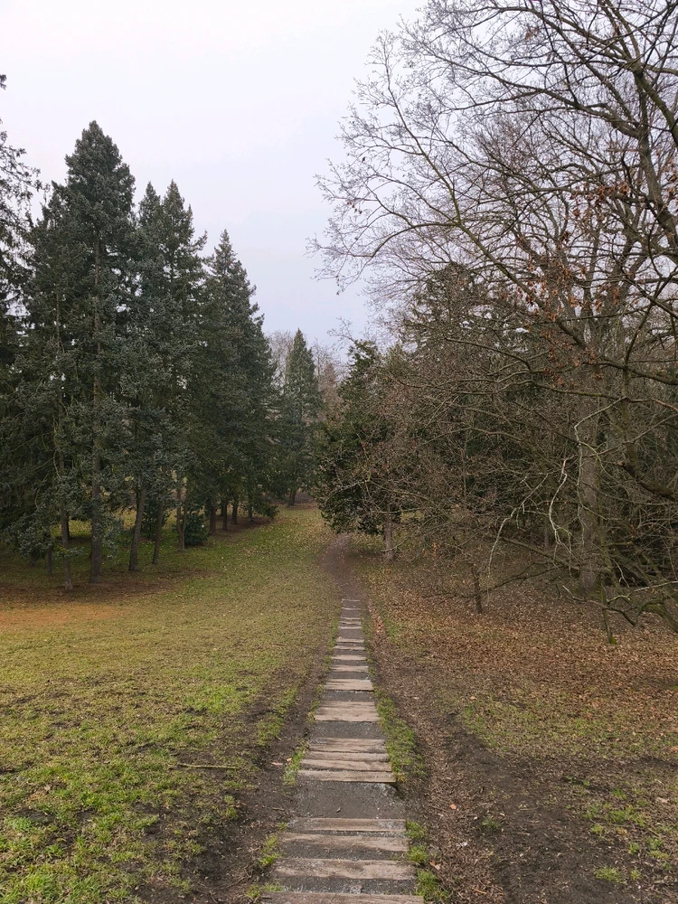 Obrázek nahrál 🧿