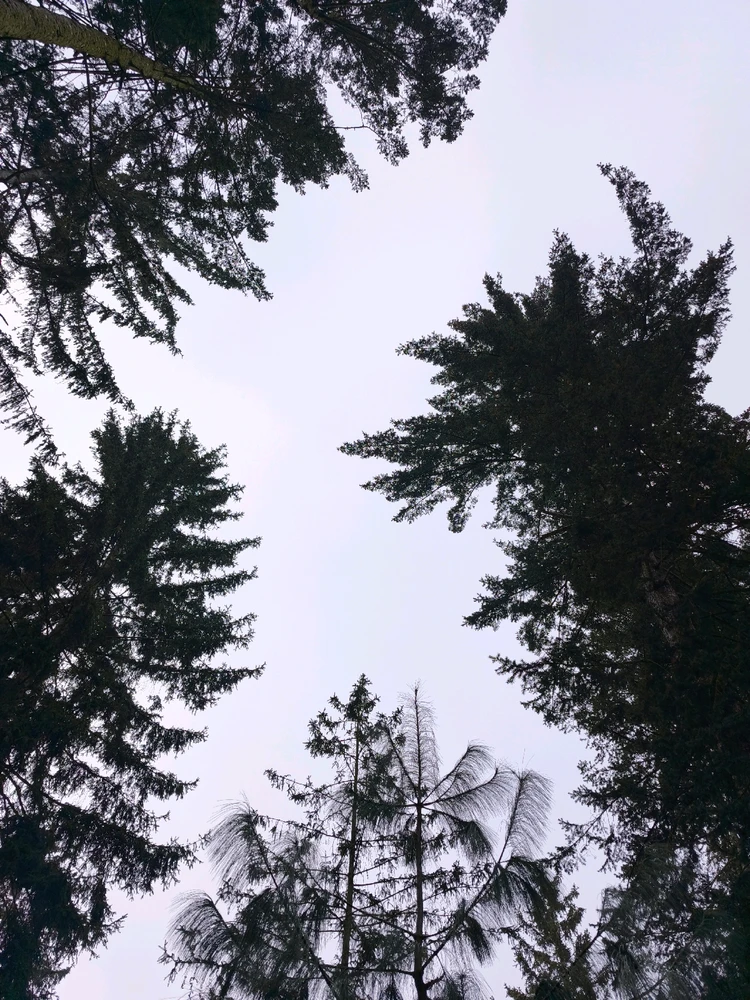 Obrázek nahrál 🧿