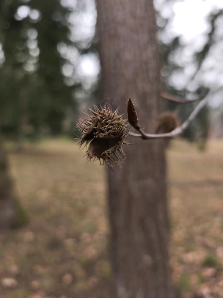 Obrázek nahrál 🧿