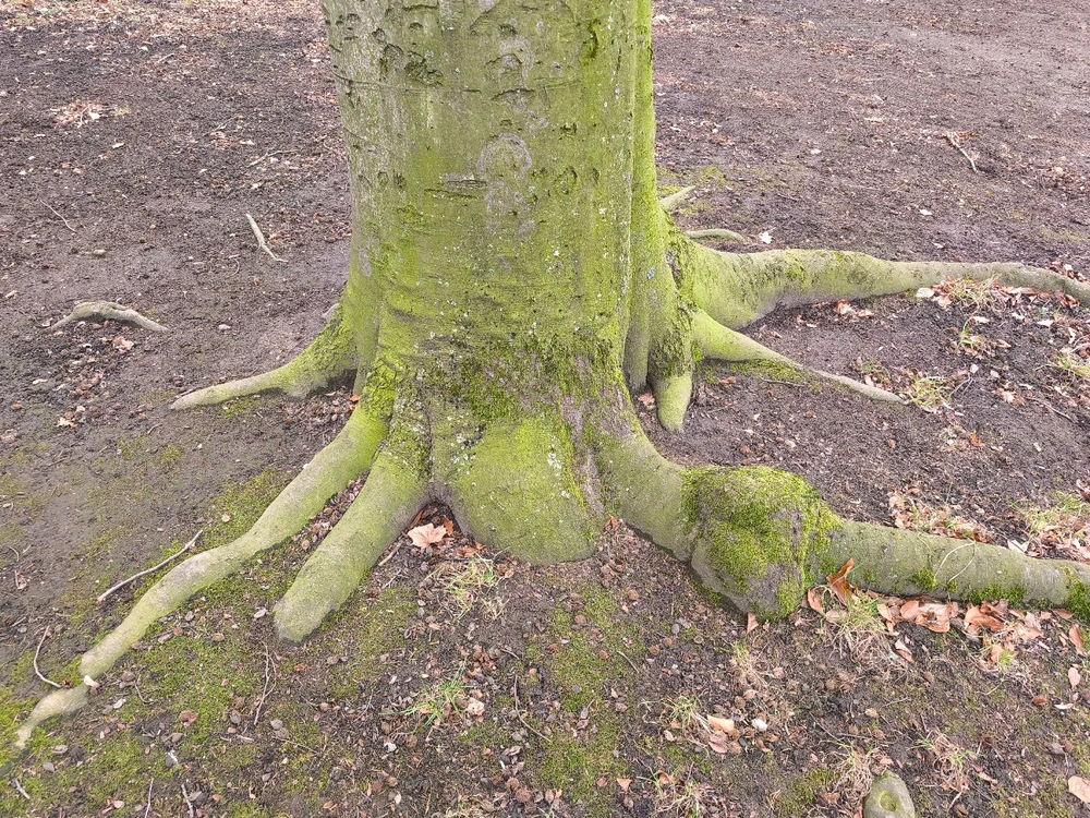 Obrázek nahrál 🧿