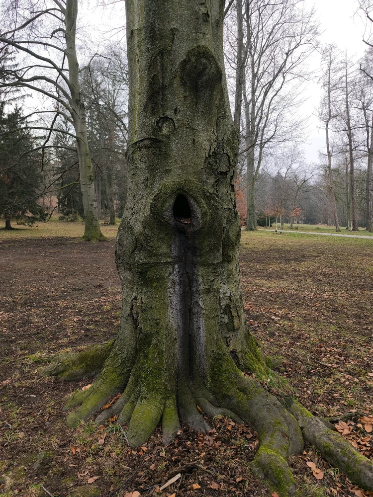 Obrázek nahrál 🧿