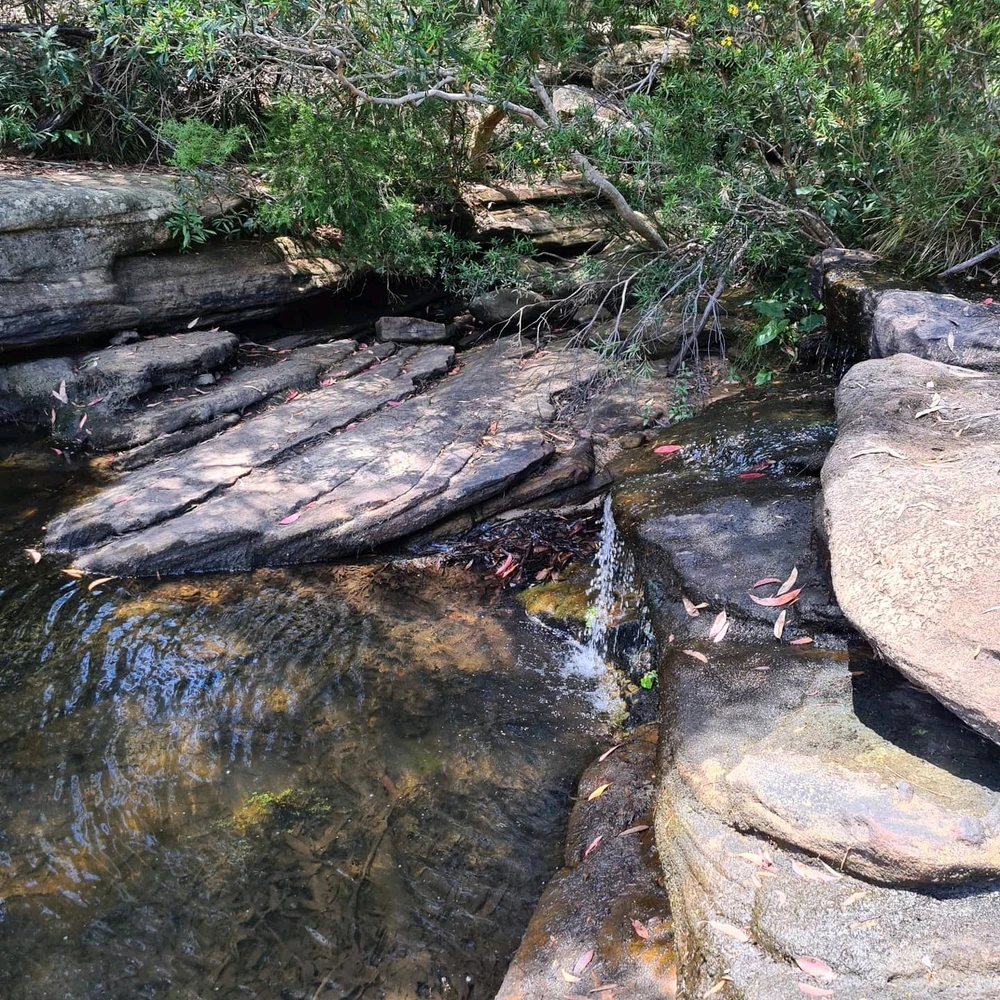 Image uploaded by Brad