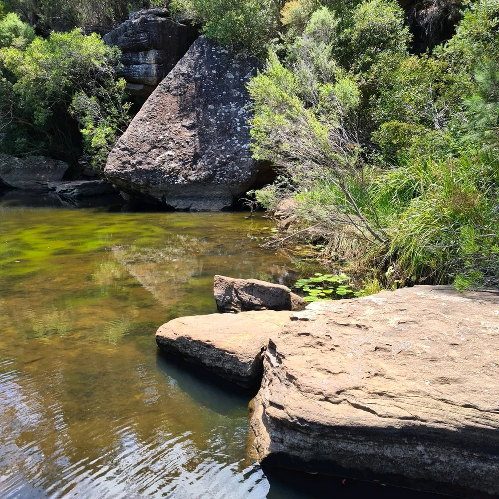 Image uploaded by Brad
