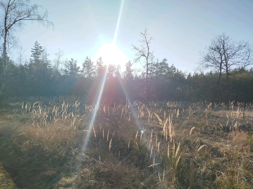 Obrázek nahrál Švadlena kytaristka