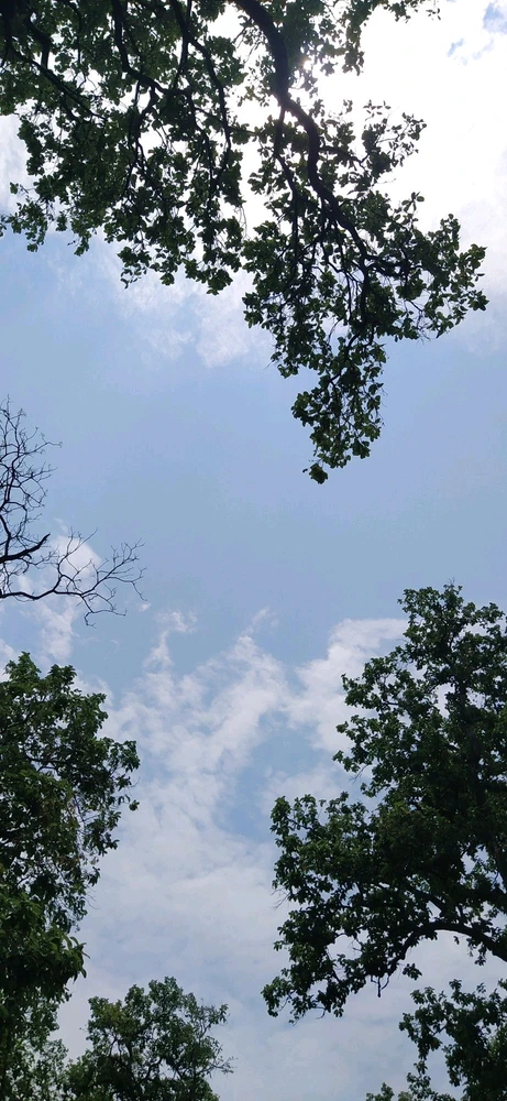 GIF uploaded by Aditya Swaraj