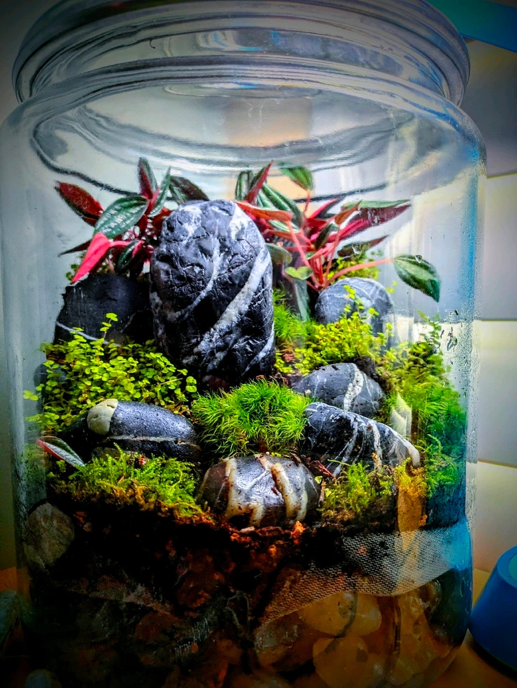 GIF uploaded by Noah