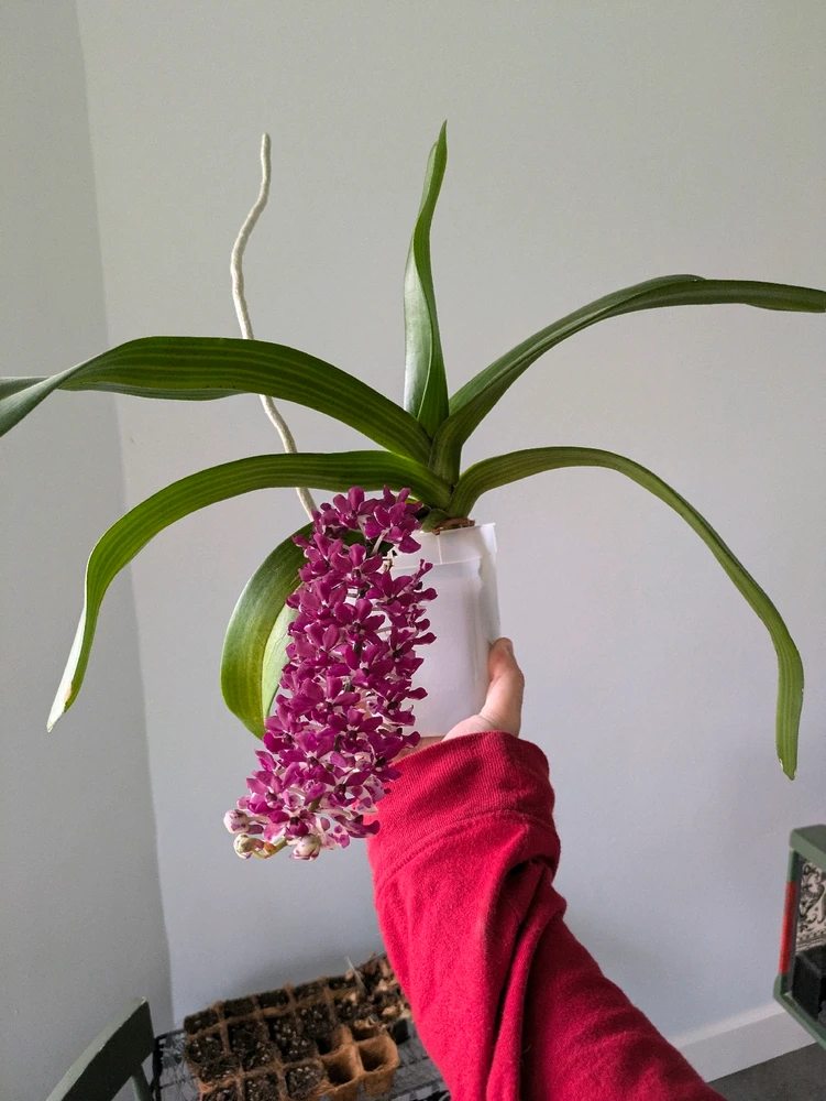 GIF uploaded by Noah