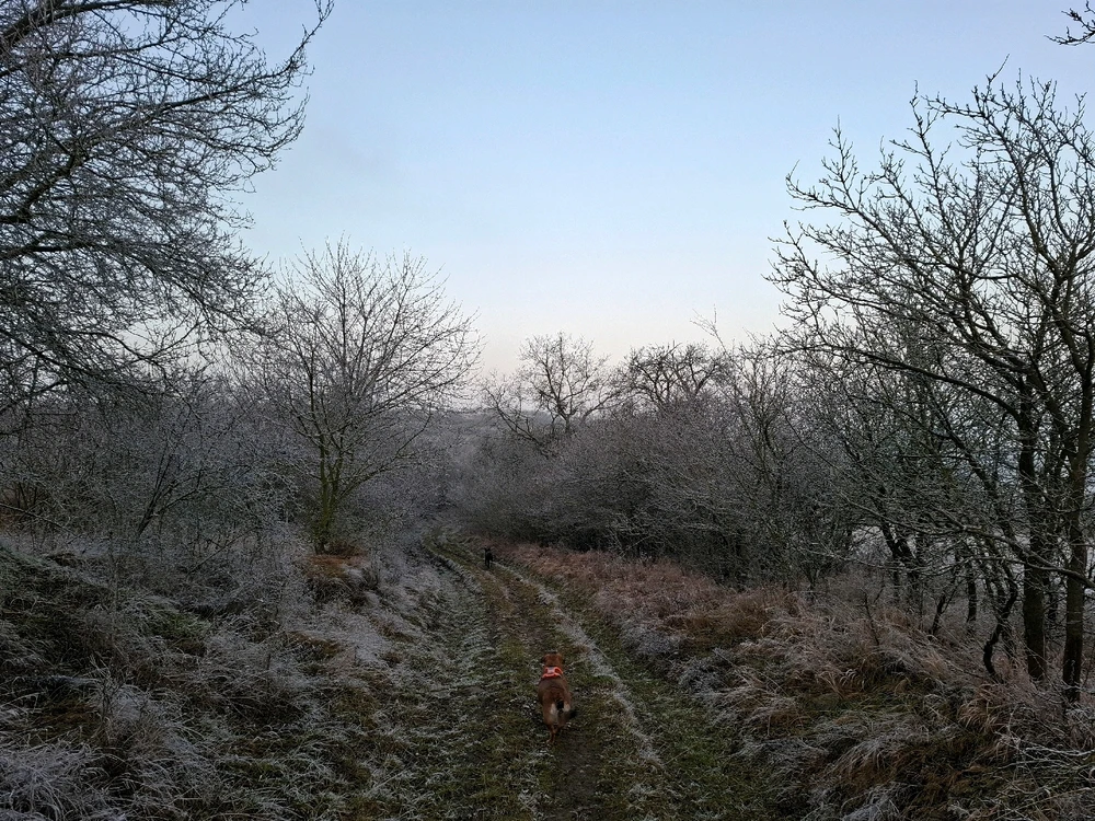 Obrázek nahrál Nora