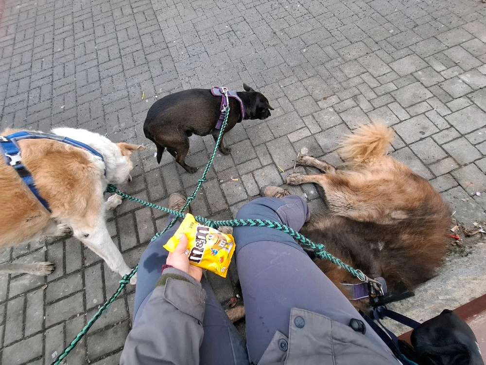 Obrázek nahrál Nora