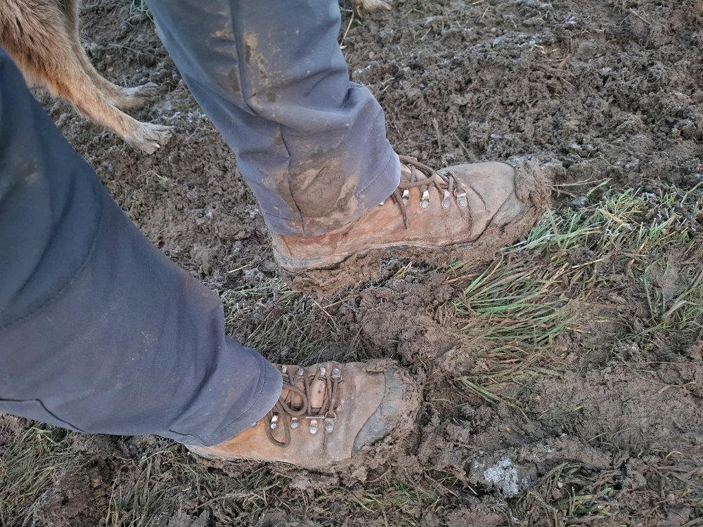 Obrázek nahrál Nora