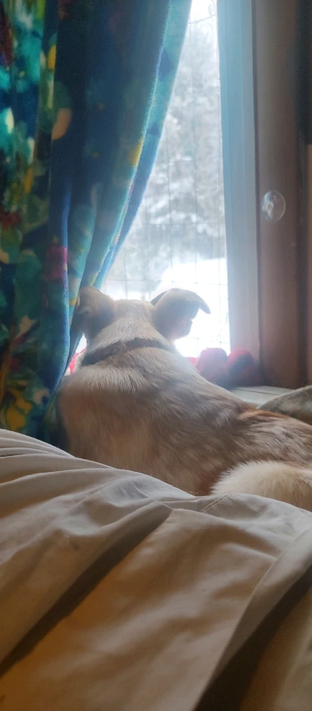 GIF uploaded by Joanna